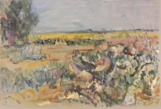Israelisch landschap