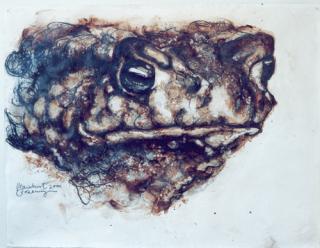 Pad