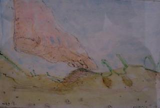 Voet in landschap