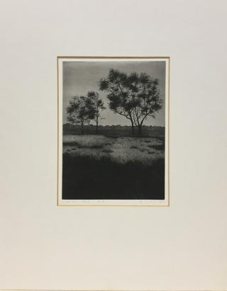 Heide